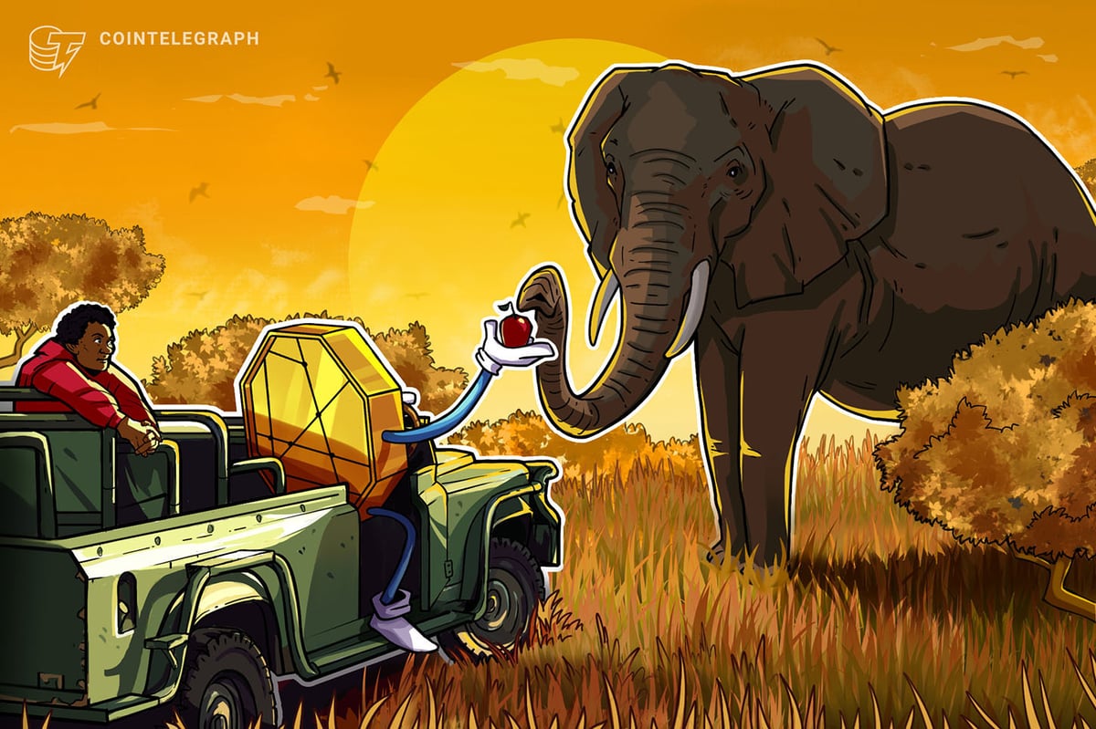Blockchain Philanthropy Fails Africa’s Real-World Test