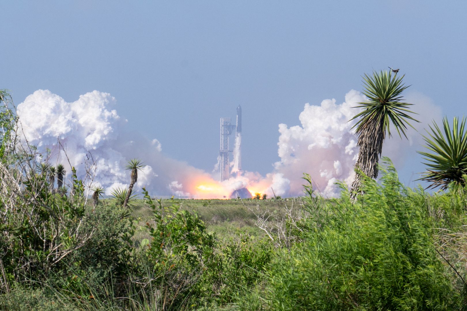 SpaceX targets record $75 billion IPO as bitcoin treasury and liquidity risks draw focus