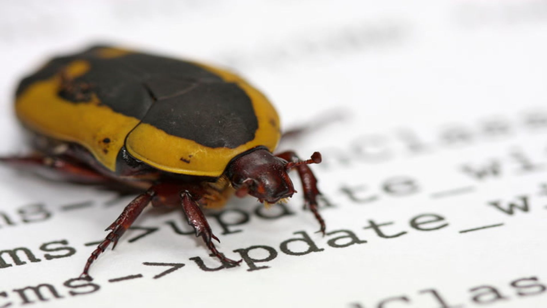 Ethereum Foundation says AI found bug that could take validators offline