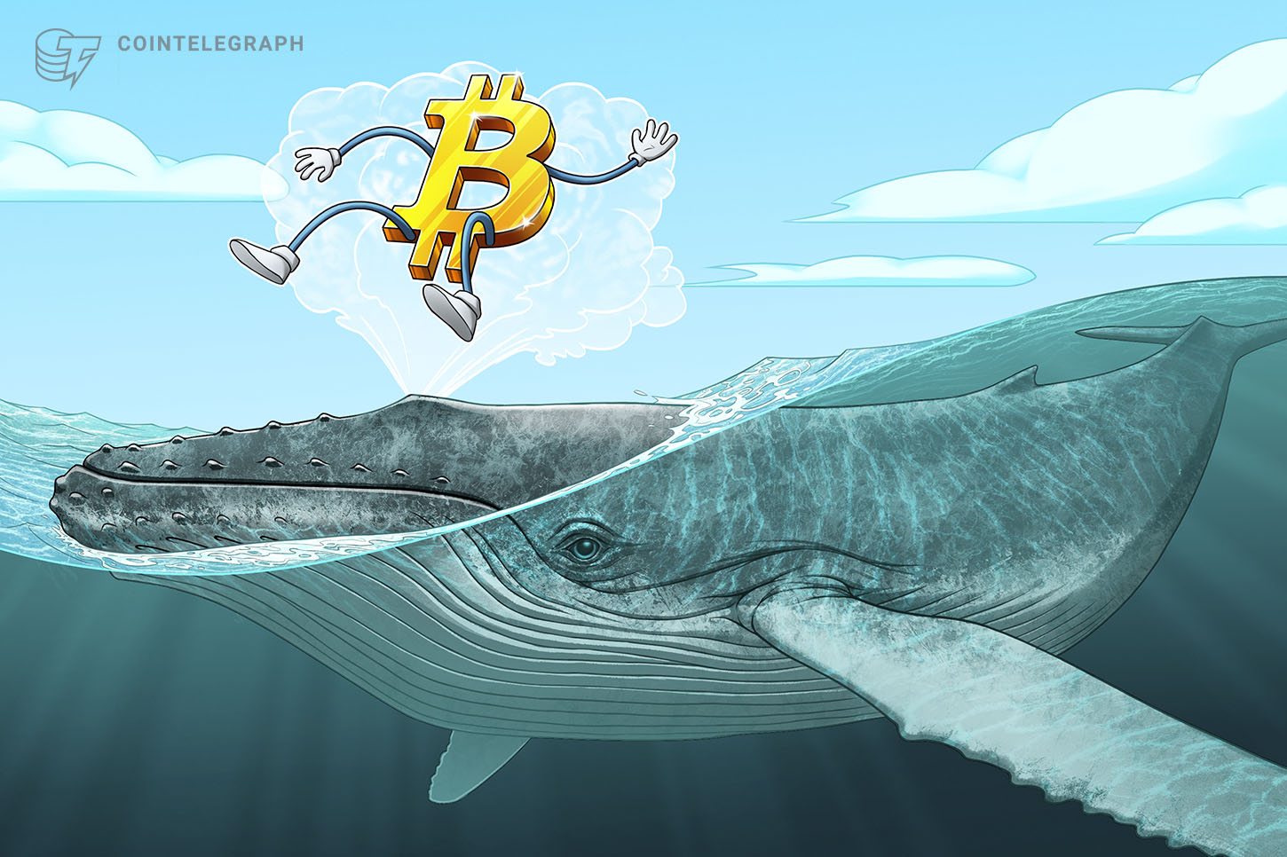 Bitcoin Whales Signal Possible Bear Market Bottom
